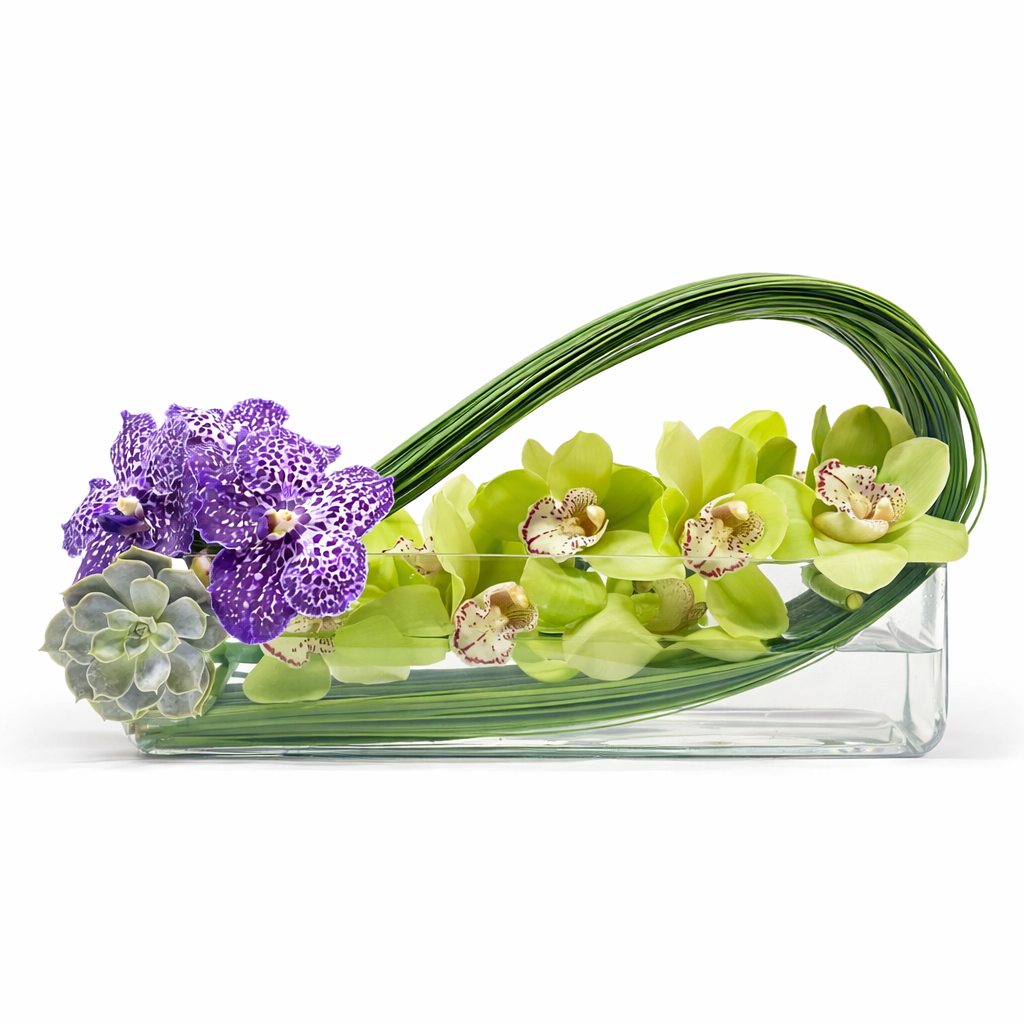 Green Cymbidium Long Wave