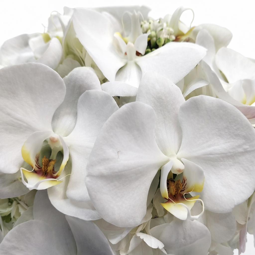 Delicate White Arrangement