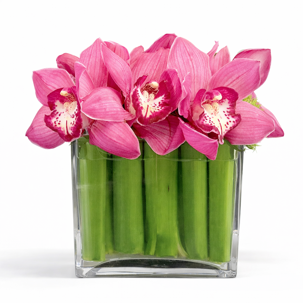 Floating Cymbidiums / pink