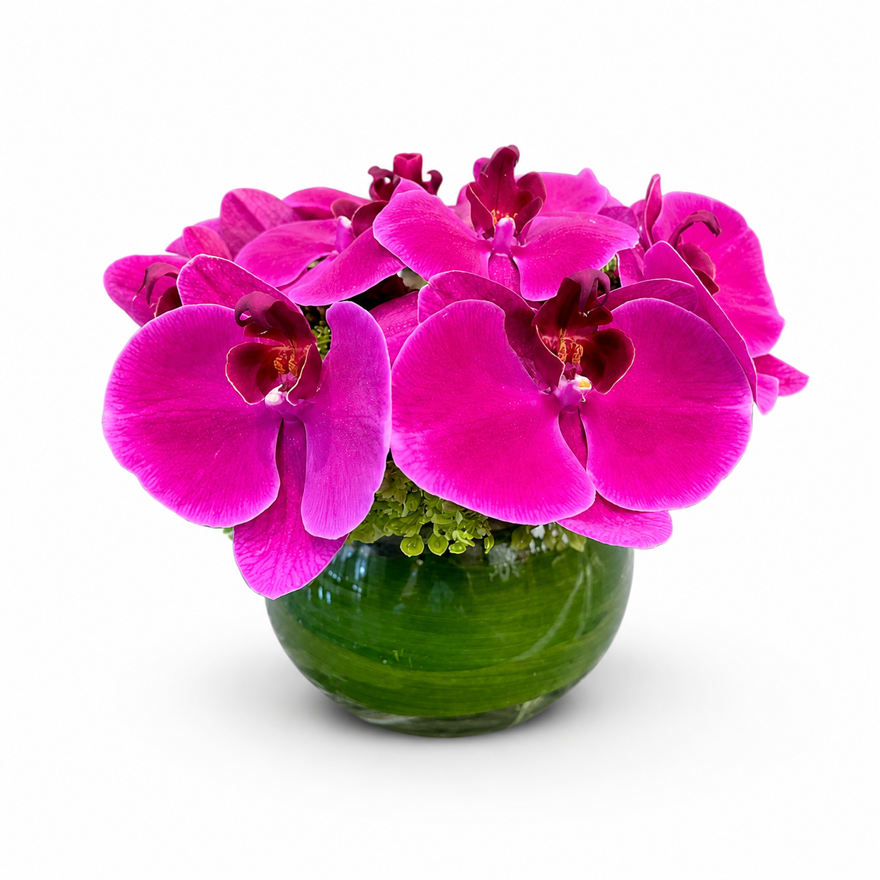 Fuchsia Orchid Harmony with vibrant Phalaenopsis orchids in a modern glass bowl by Heather Floral NYC