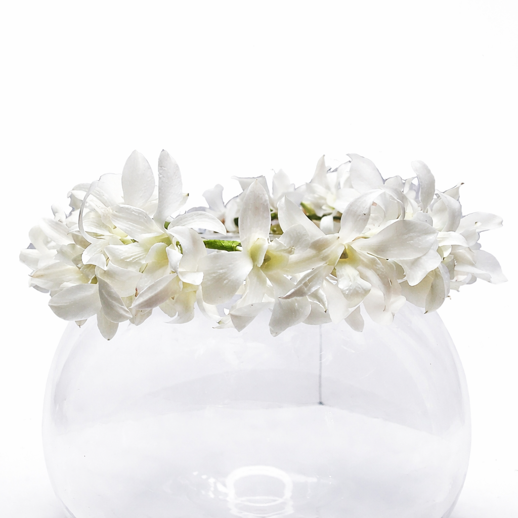 Hawaiian Dendrobium Orchids Crown