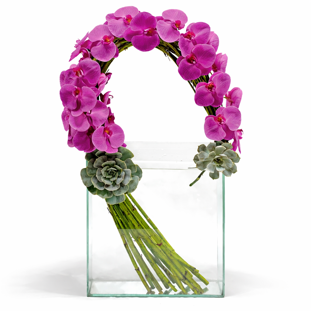 Orchid Wave / clear container