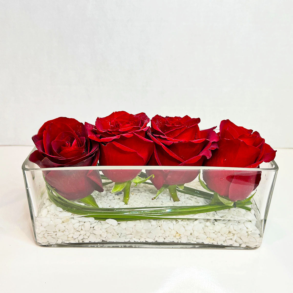 Timeless Rose