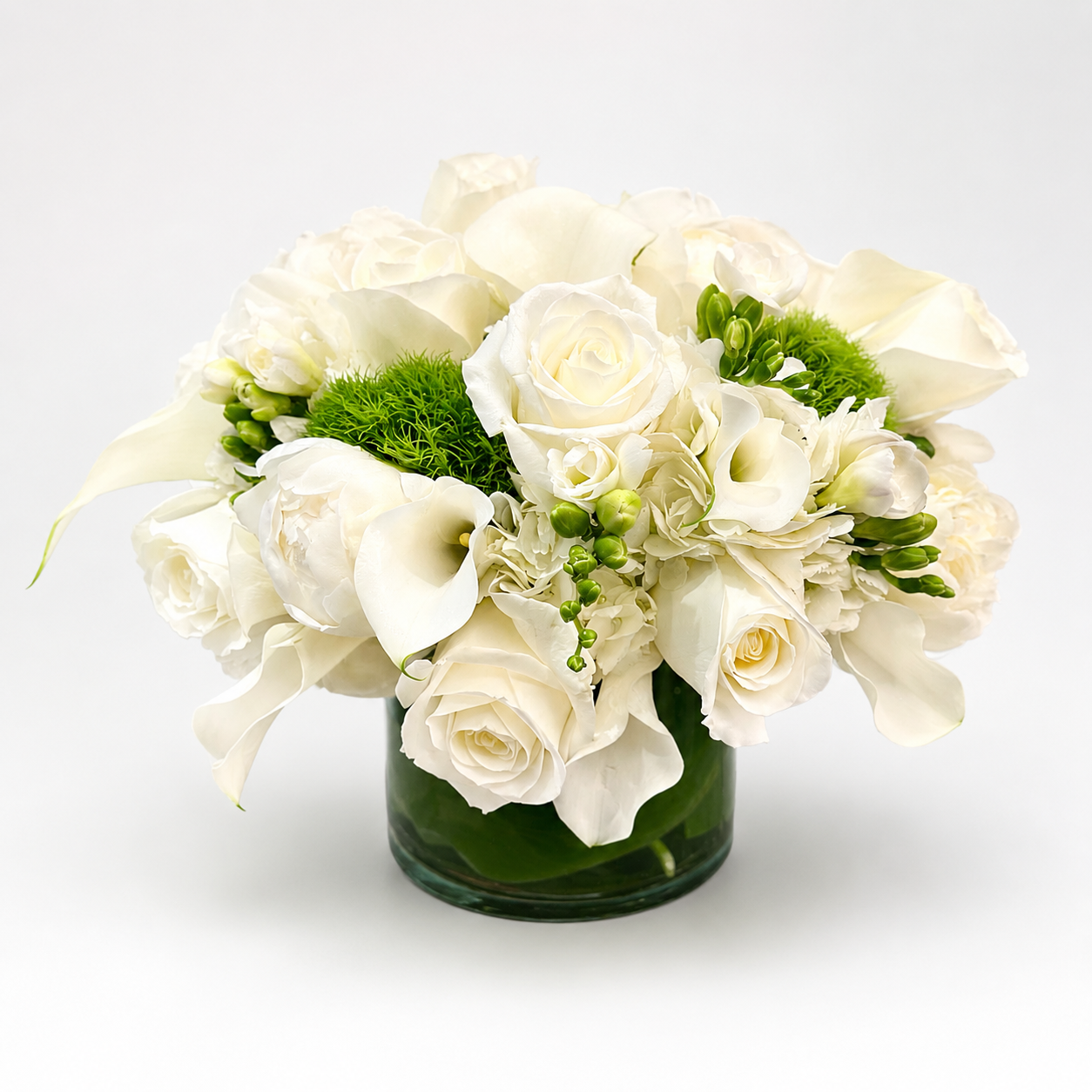 Pure White Elegance