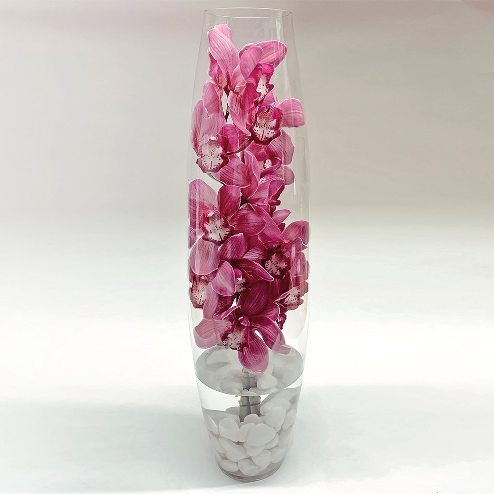 Cymbidium Spirit / burgundy - Heather Floral - Delivery Same Day