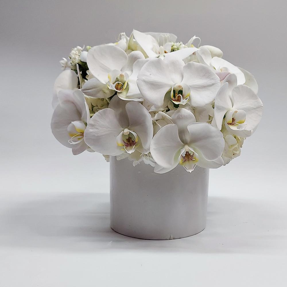 Dream White Centerpiece - Heather Floral - Delivery Same Day