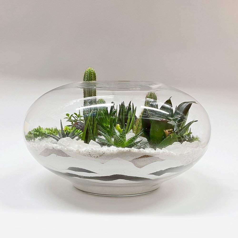 Fishbowl terrarium / oblong - Heather Floral - Delivery Same Day