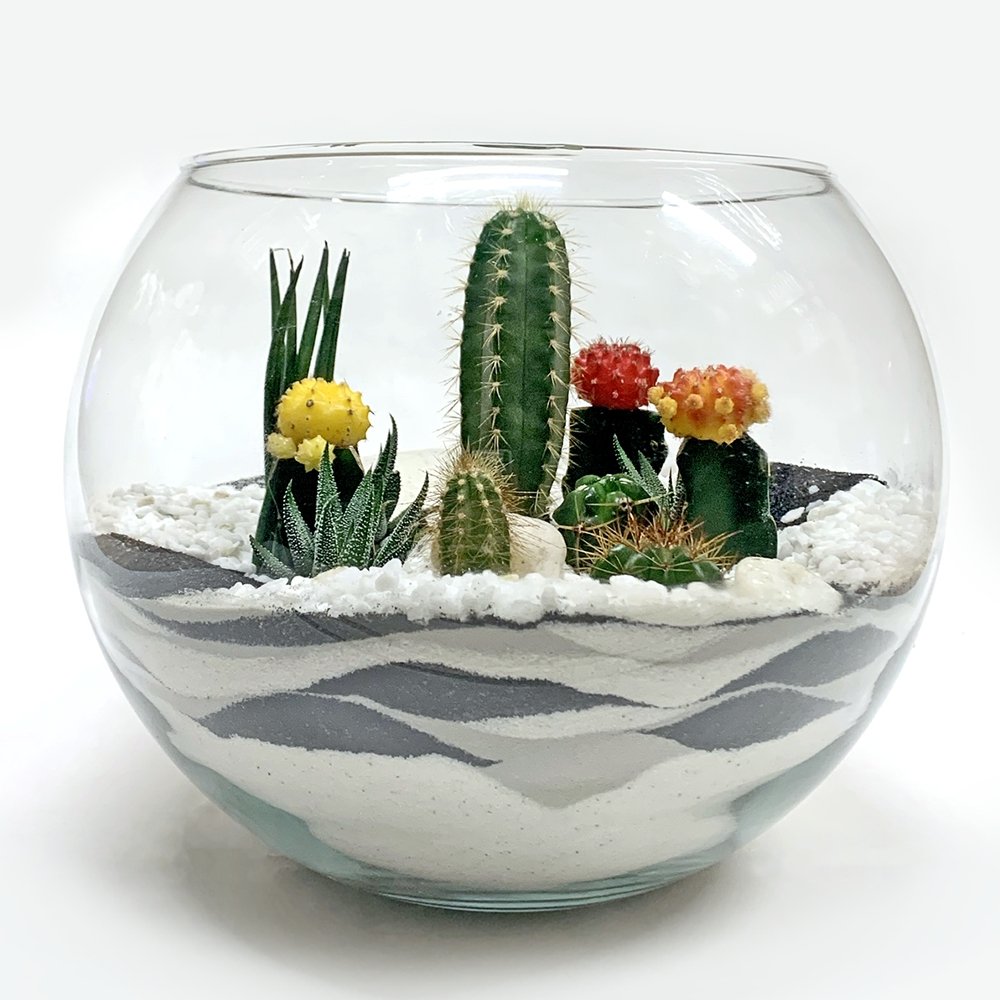 Fishbowl terrarium / round - Heather Floral - Delivery Same Day