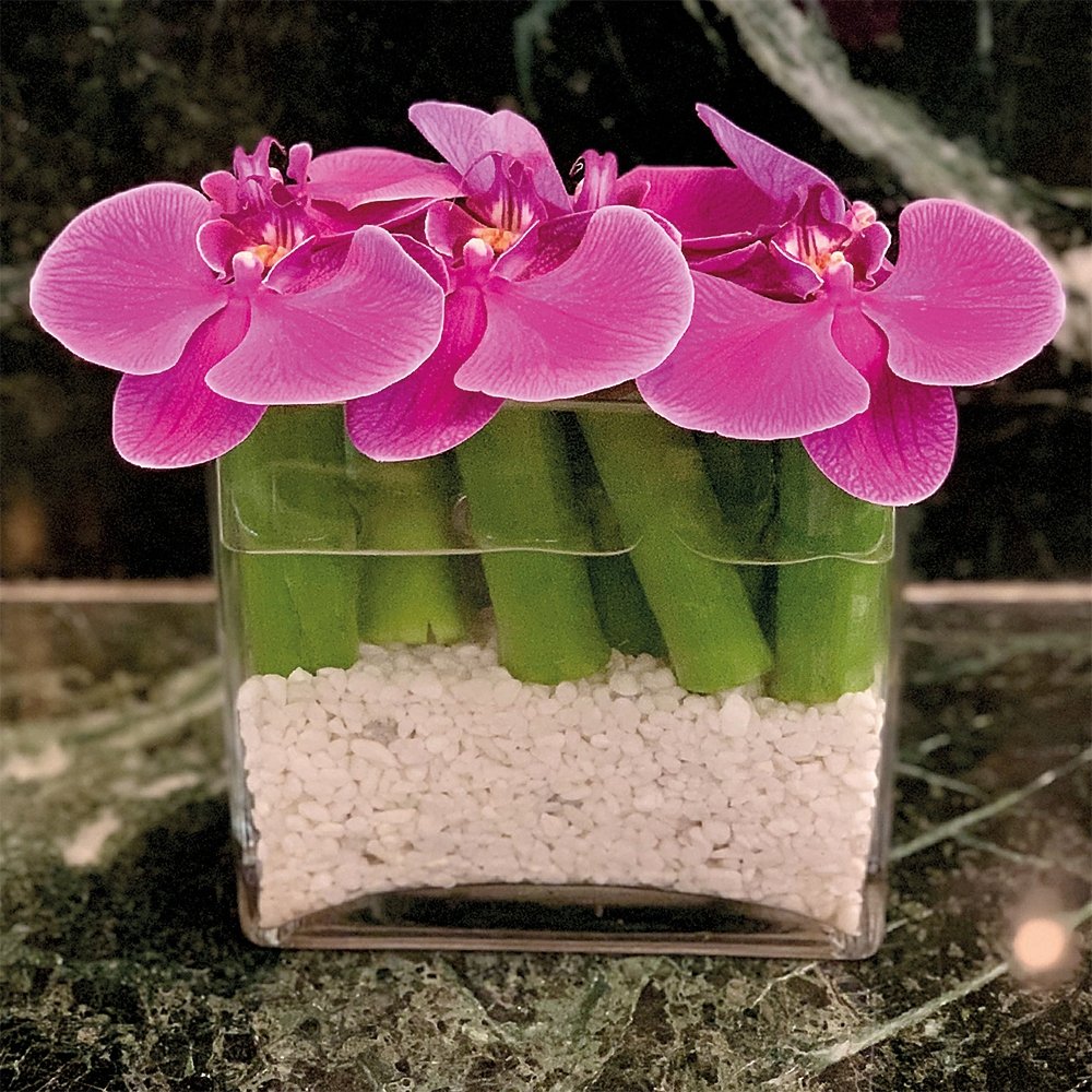 Floating Phalaenopsis with pebbles / pink - Heather Floral - Delivery Same Day