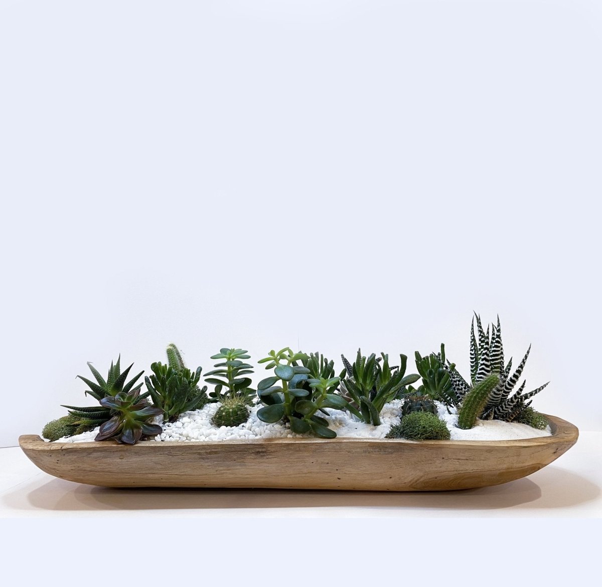 Oasis Dish Garden - Heather Floral - Delivery Same Day