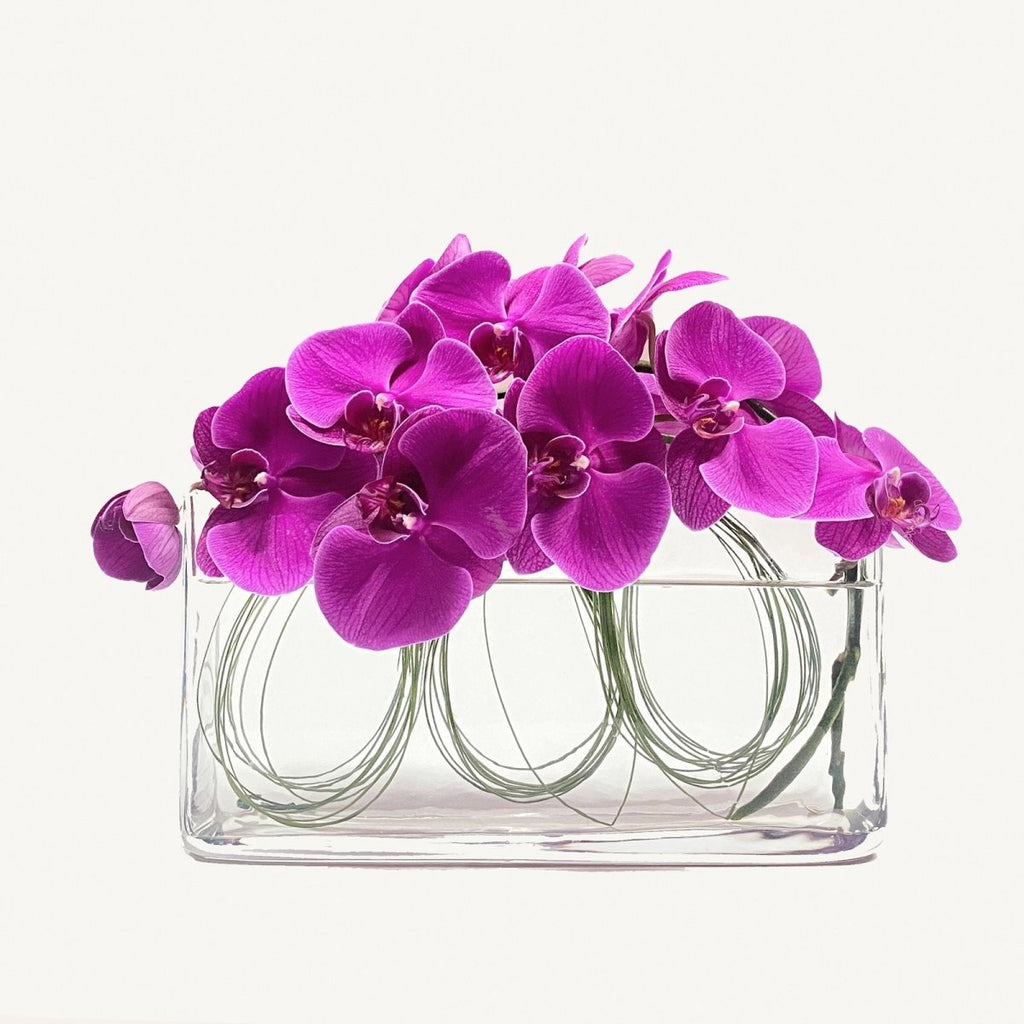 Phalaenopsis Orchid Earrings - Heather Floral - Delivery Same Day
