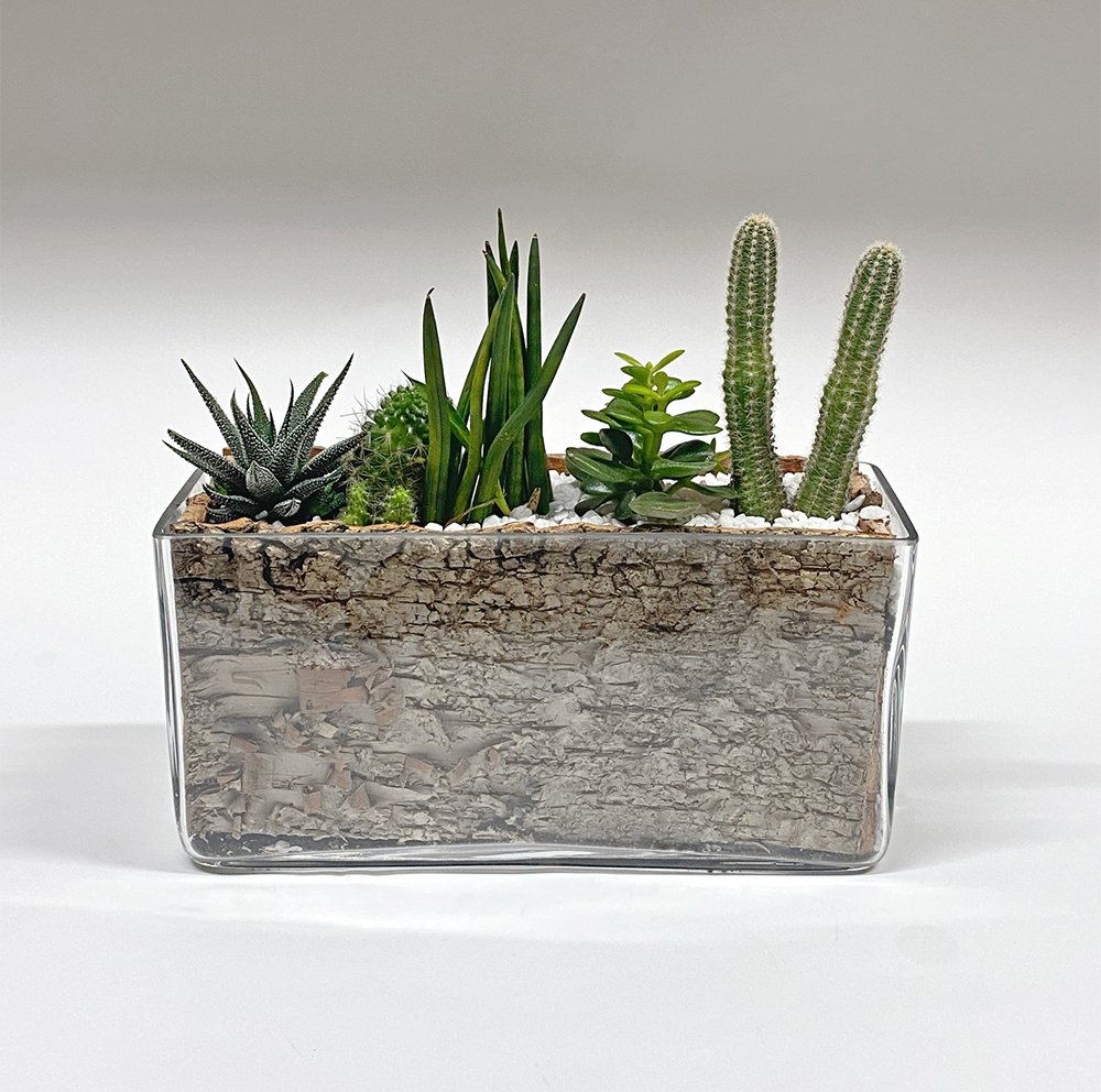 Rectangular, tall dish garden / glass - Heather Floral - Delivery Same Day