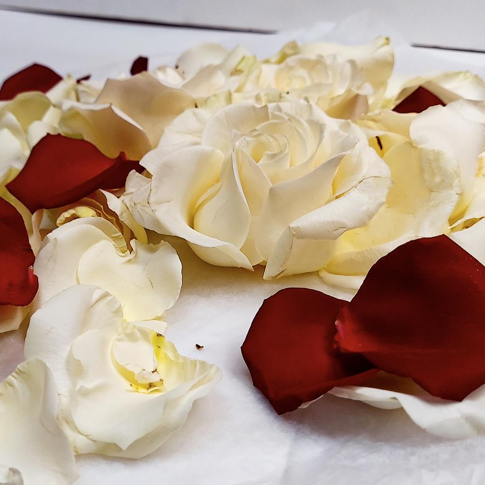 Red and White Roses Petals - Heather Floral - Delivery Same Day