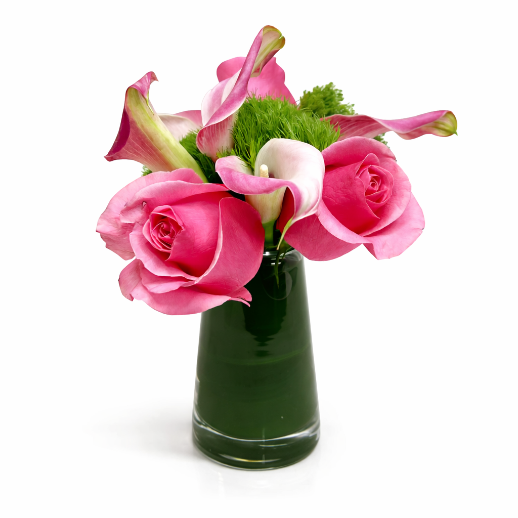 Succulents, Cactus, Small Plants, Dish Gardens.  Decoration for offices by Heather Floral. Same Day Delivery NYC