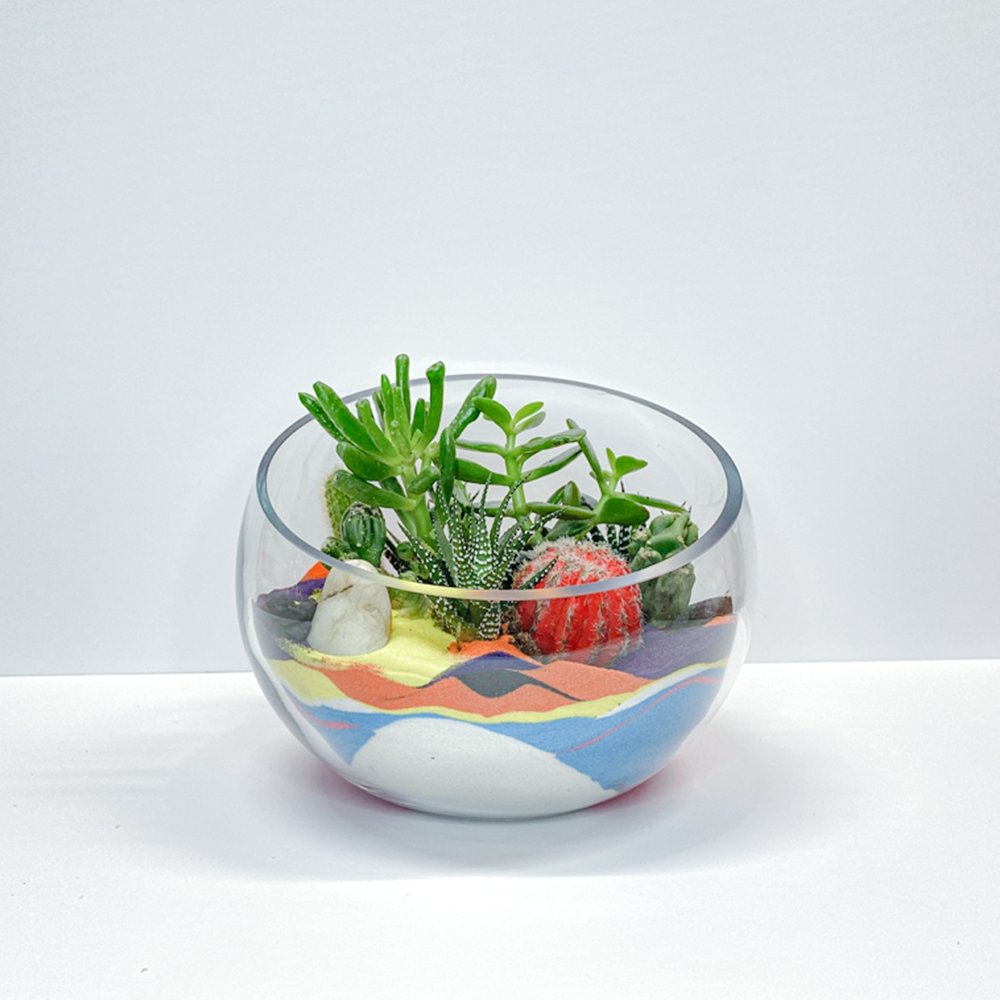 Dishes Gardens and Terrariums by Heather Floral. Luxuries Terrariums to offices in New York City.  Delivery same day NYC