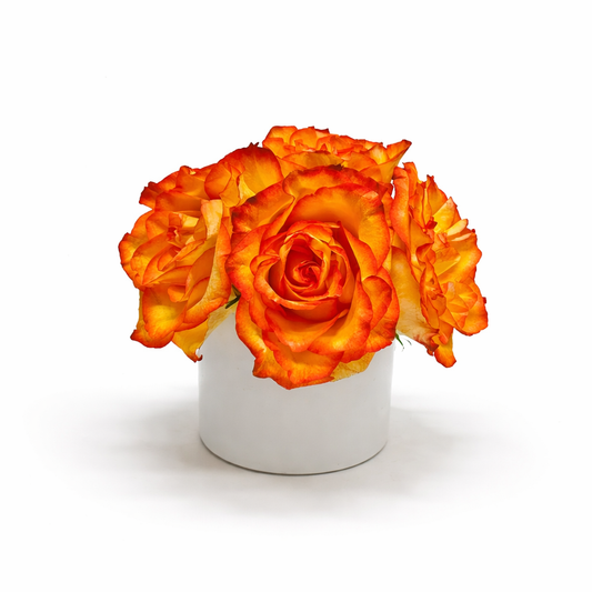 Compact Rose Nosegay