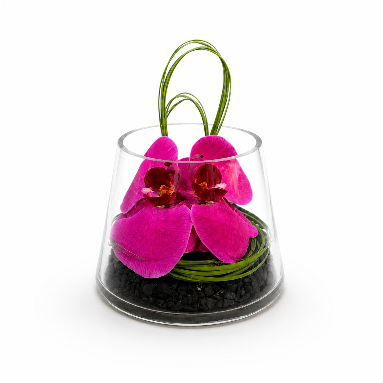 Designer’s Choice Petite Orchid Arrangement in a small glass vase by Heather Floral