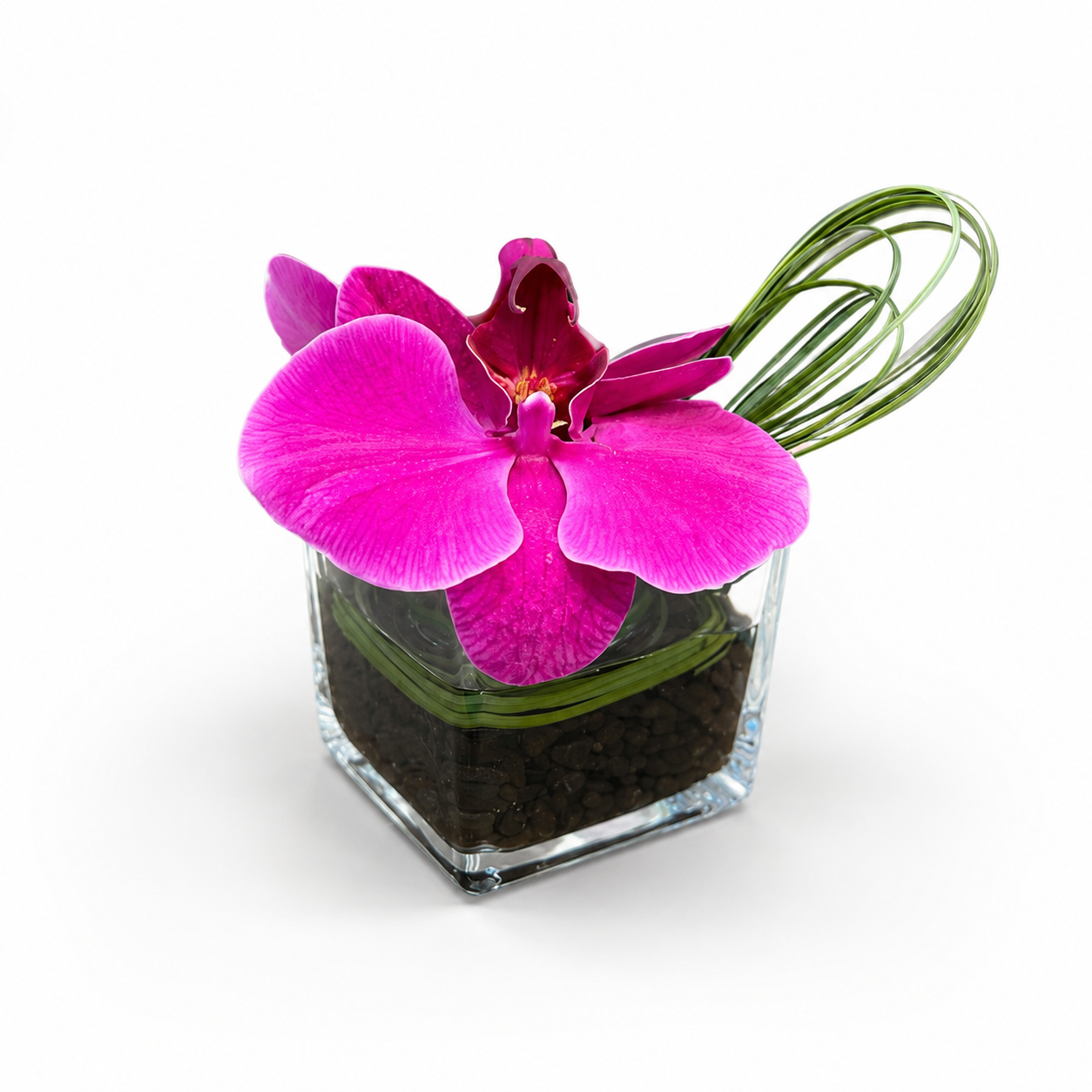 Designer’s Choice Petite Orchid Arrangement