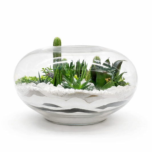 Fishbowl terrarium / oblong