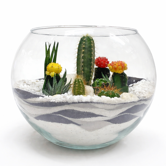 Fishbowl terrarium / round