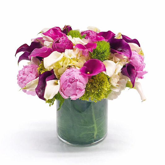 Fuchsia Medley