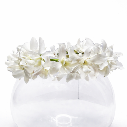 Hawaiian Dendrobium Orchids Crown