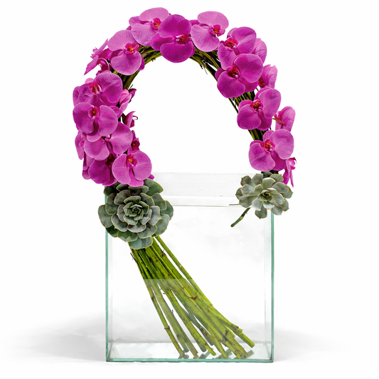 Orchid Wave / clear container