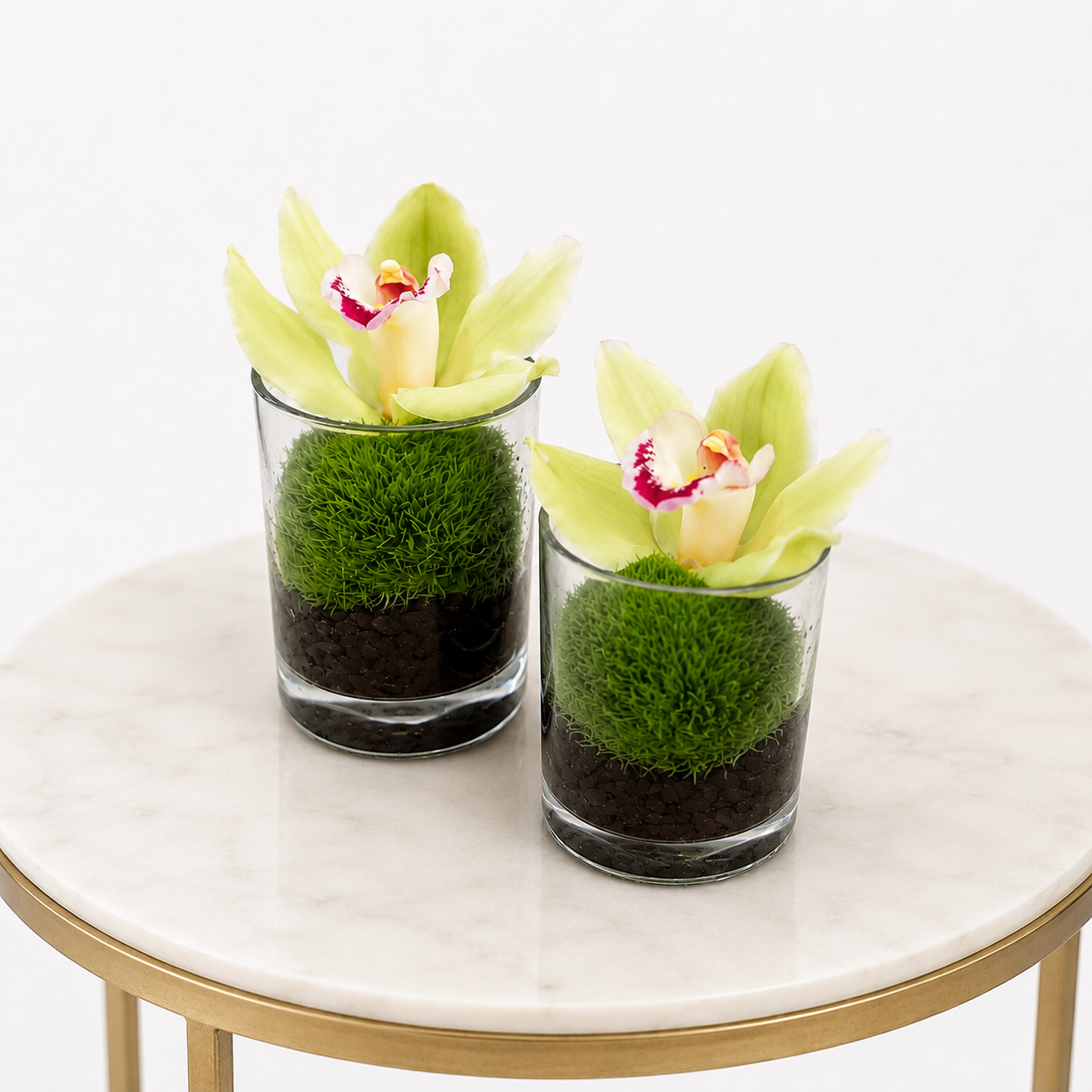 Petite Cymbidium Orchid Duo