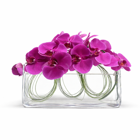 Phalaenopsis Orchid Earrings