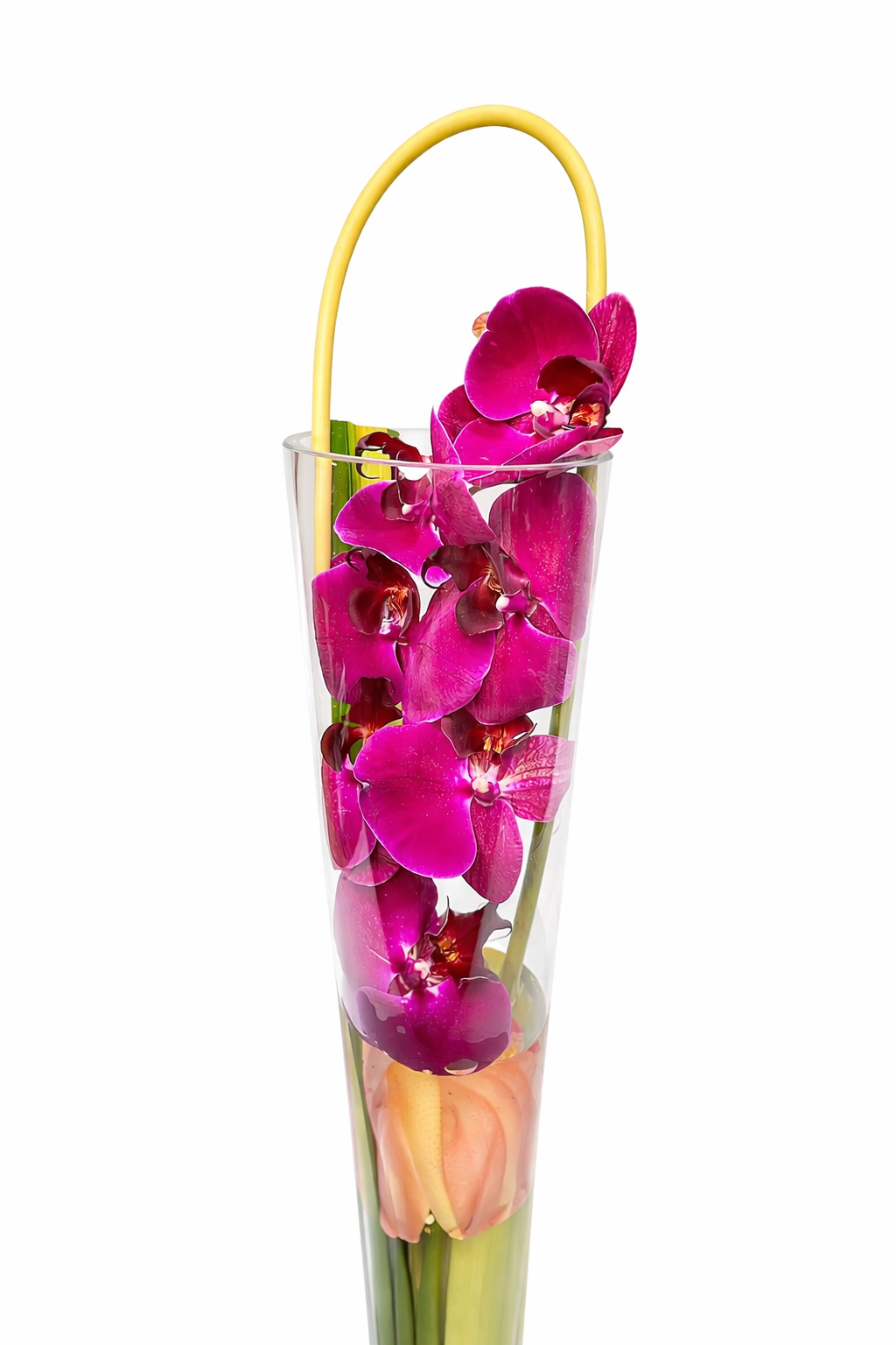 Sensational Floating Orchids