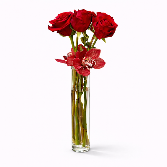 Sparkling Love