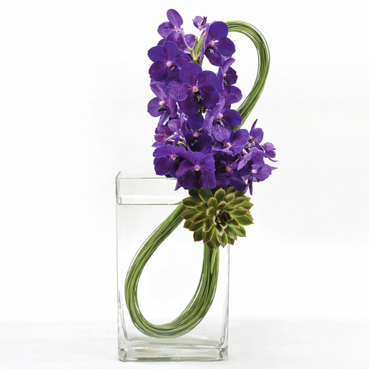 Purple Vanda Infinity Loop