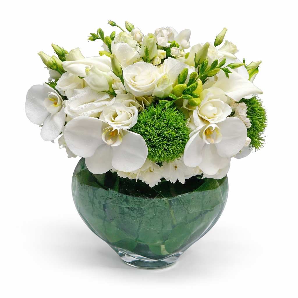 White Allure