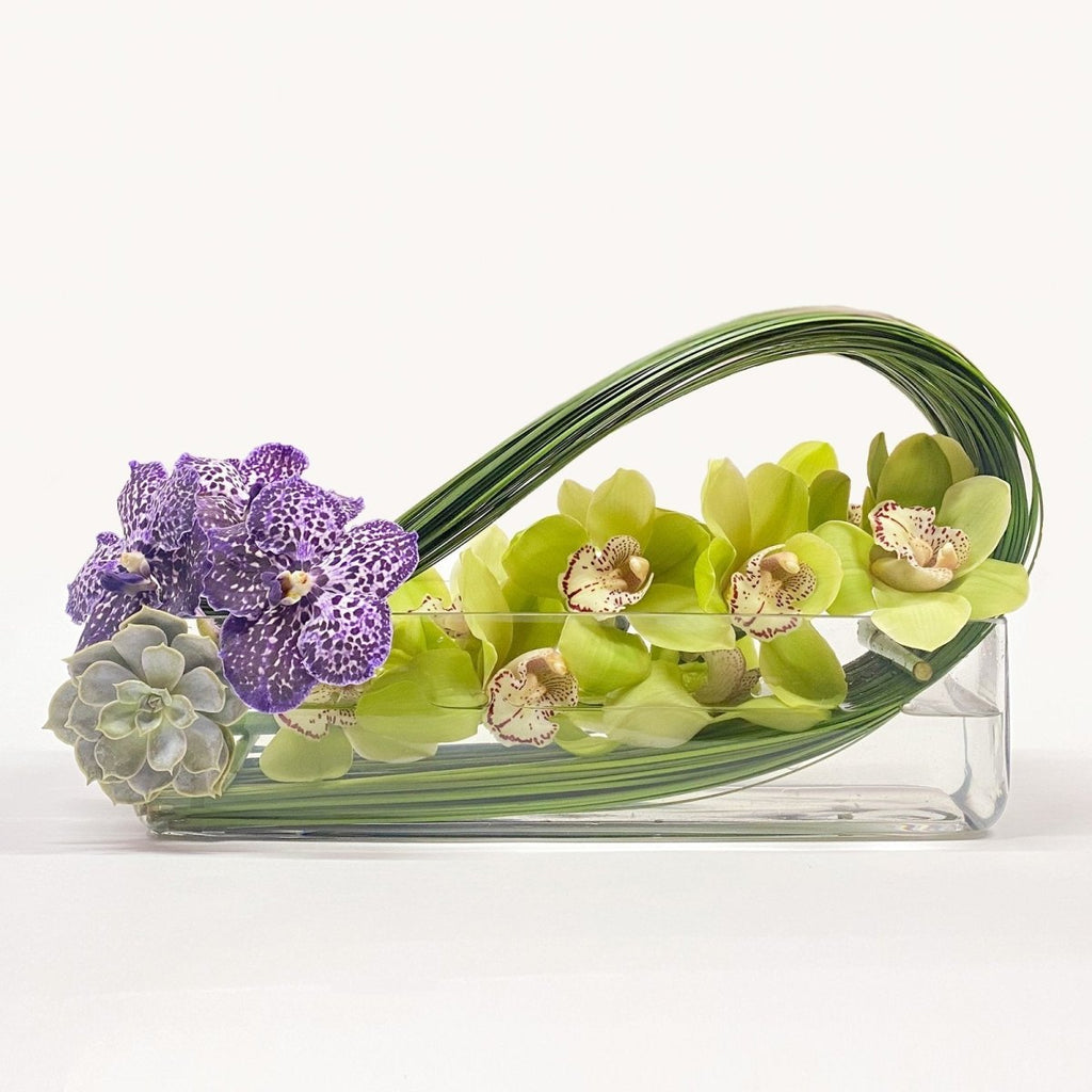 Cymbidium Long Wave / Green - Heather Floral - Delivery Same Day