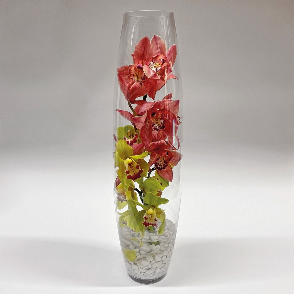 Cymbidium Spirit / two-color - Heather Floral - Delivery Same Day