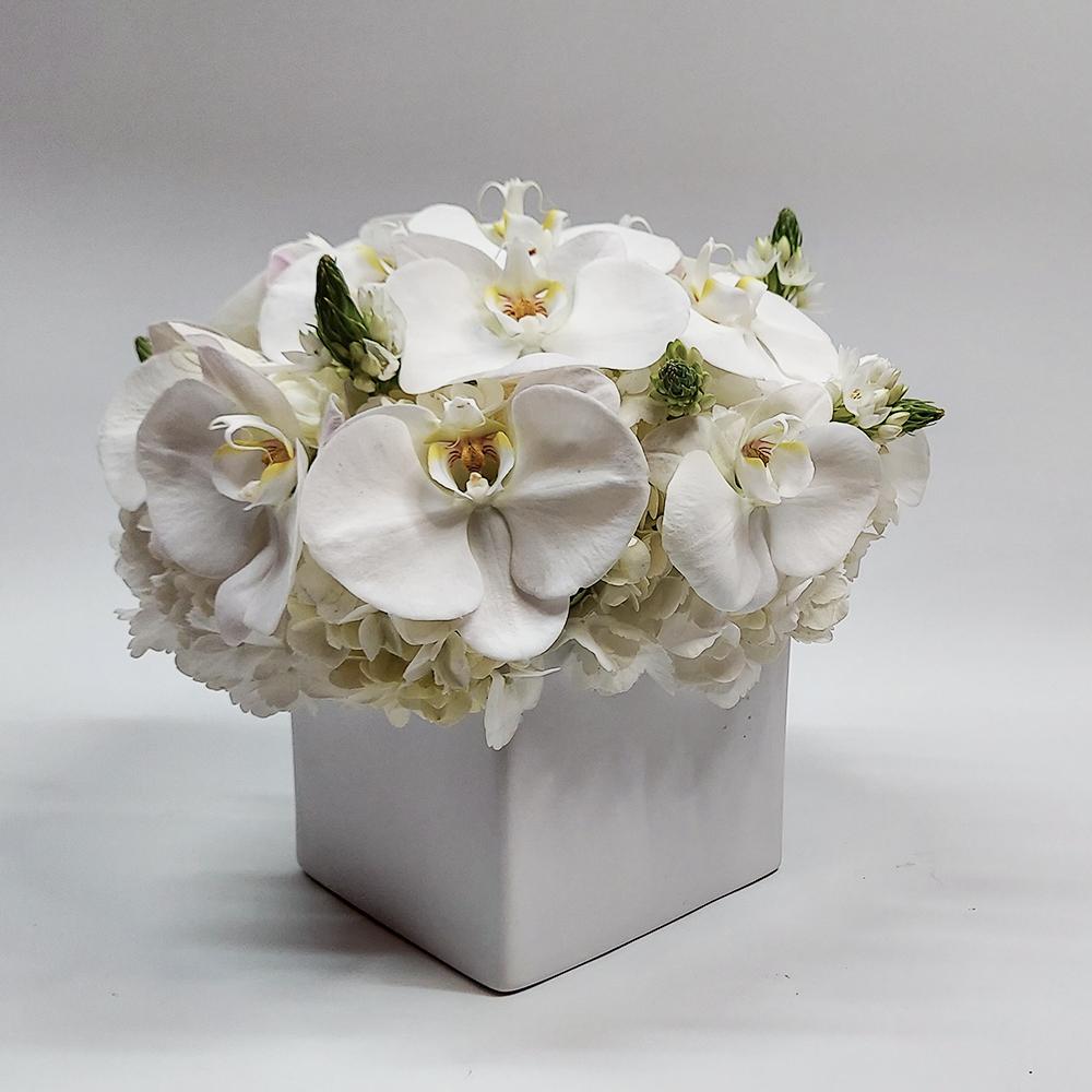 Delicate White Arrangement - Heather Floral - Delivery Same Day