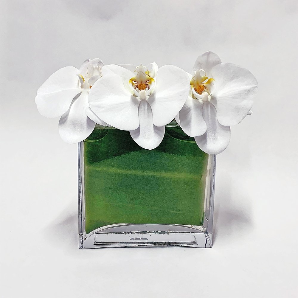 Floating Phalaenopsis / white - Heather Floral - Delivery Same Day