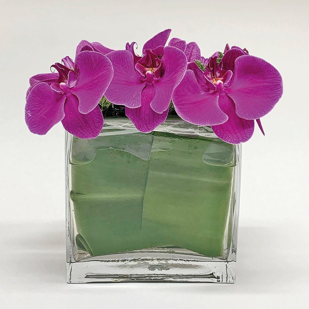Floating Phalenopsis / fuchsia - Heather Floral - Delivery Same Day
