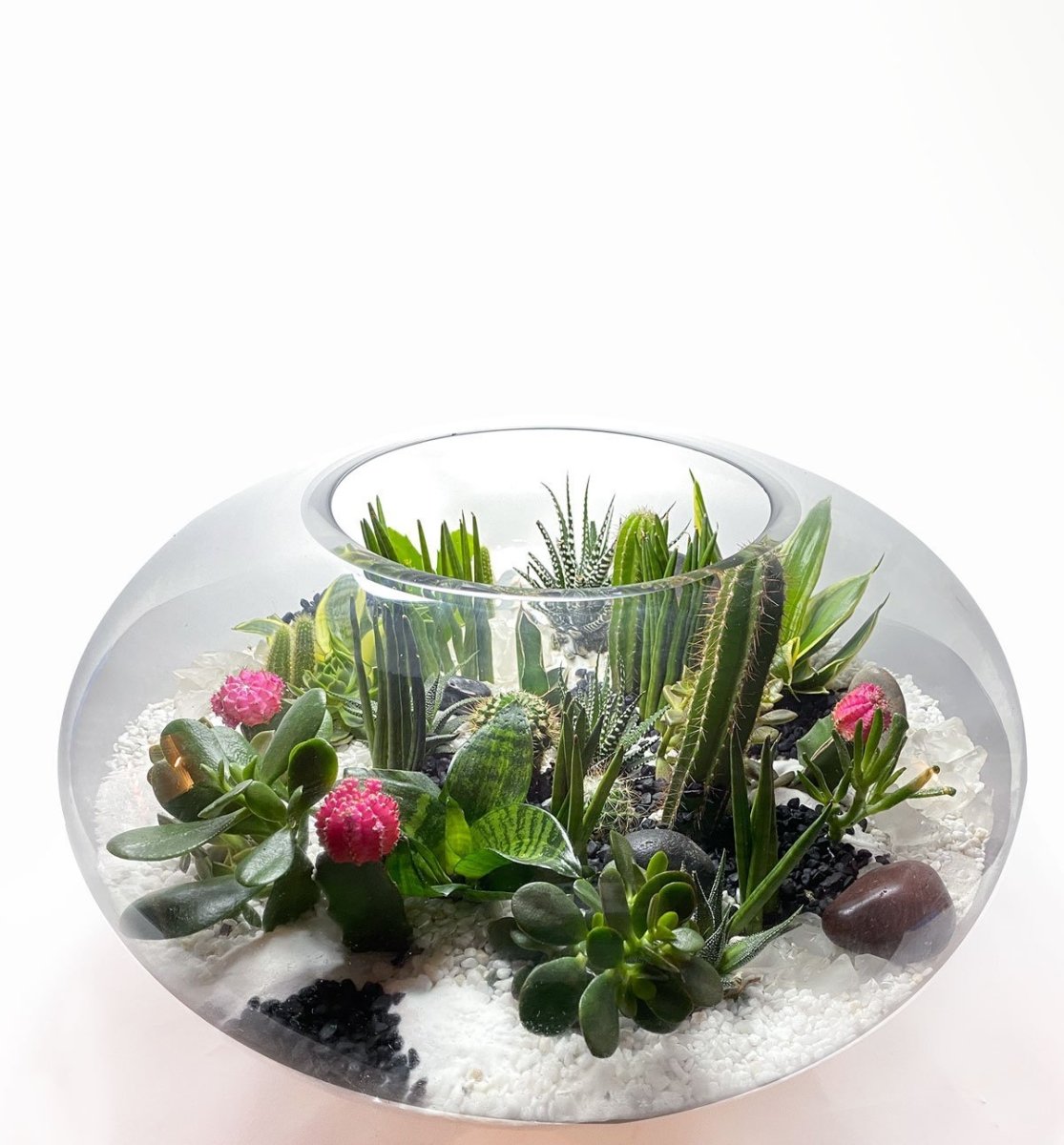 Heather Terrarium - Heather Floral - Delivery Same Day