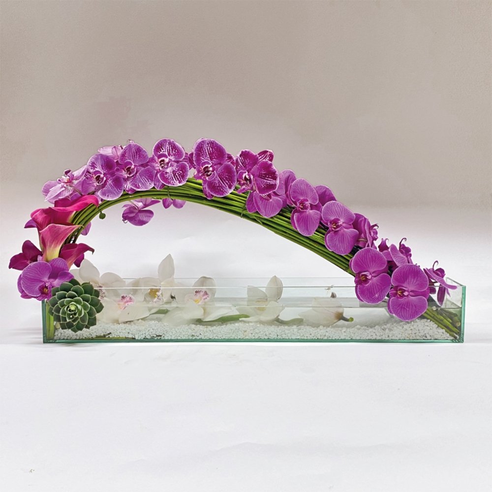 Phalaenopsis Long Wave / fuchsia - Heather Floral - Delivery Same Day
