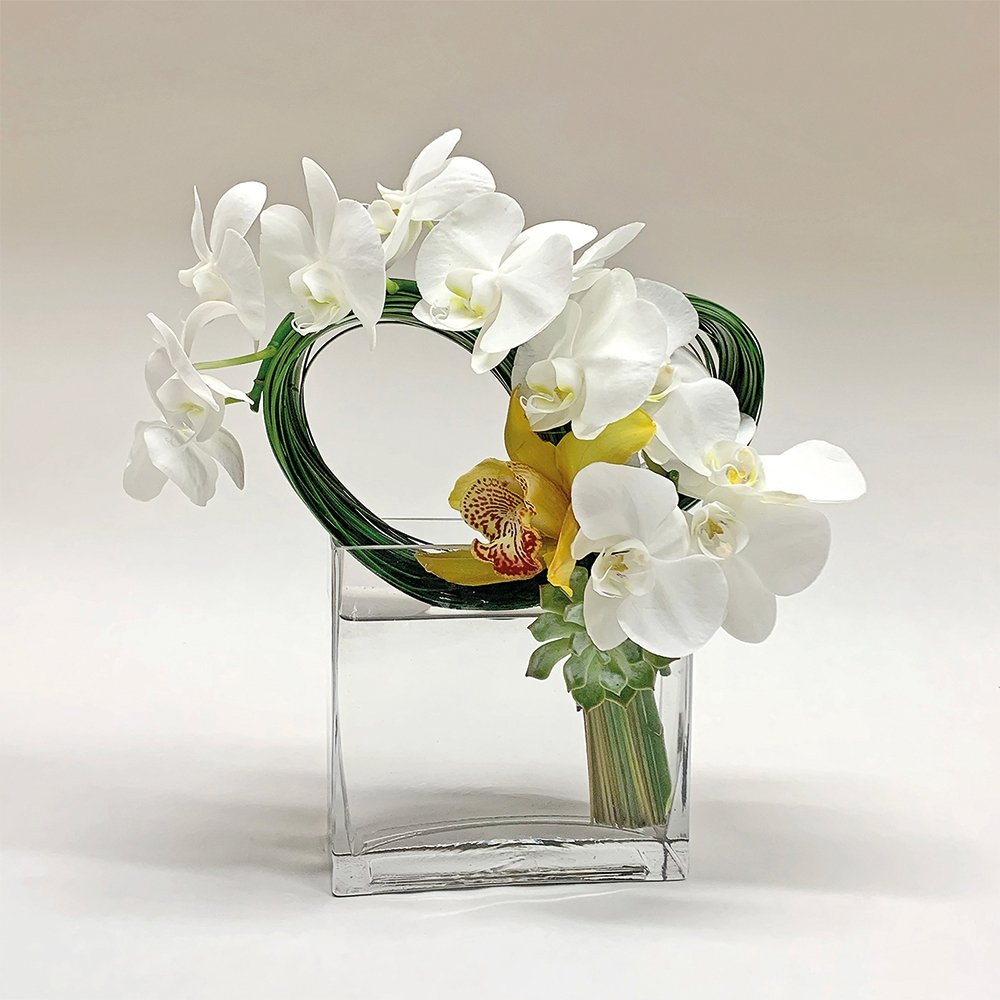 Phalaenopsis loop / white - Heather Floral - Delivery Same Day