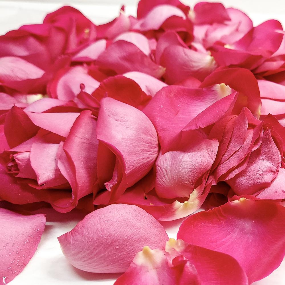 Pink Roses Petals - Heather Floral - Delivery Same Day