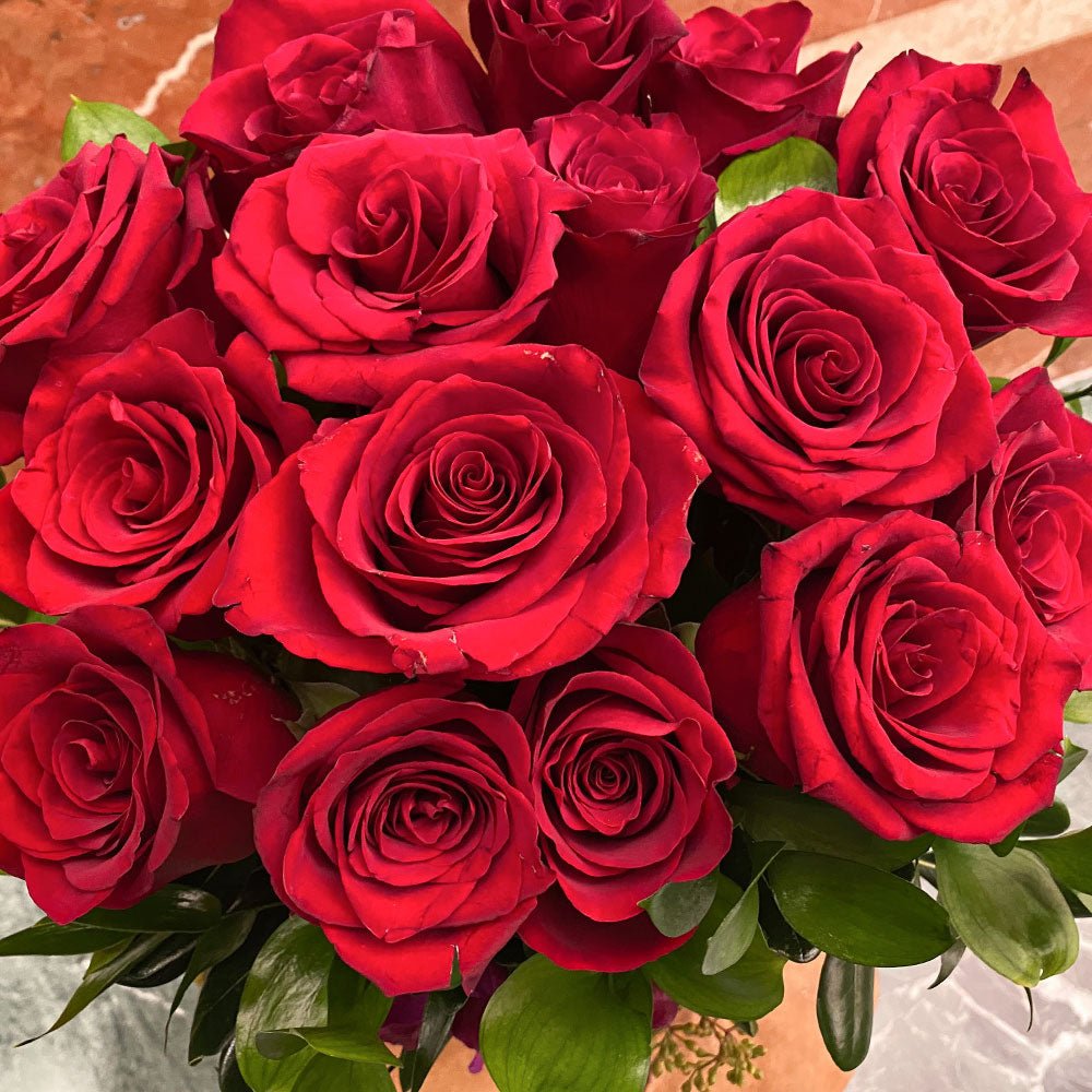 Red roses / one dozen - Heather Floral - Delivery Same Day