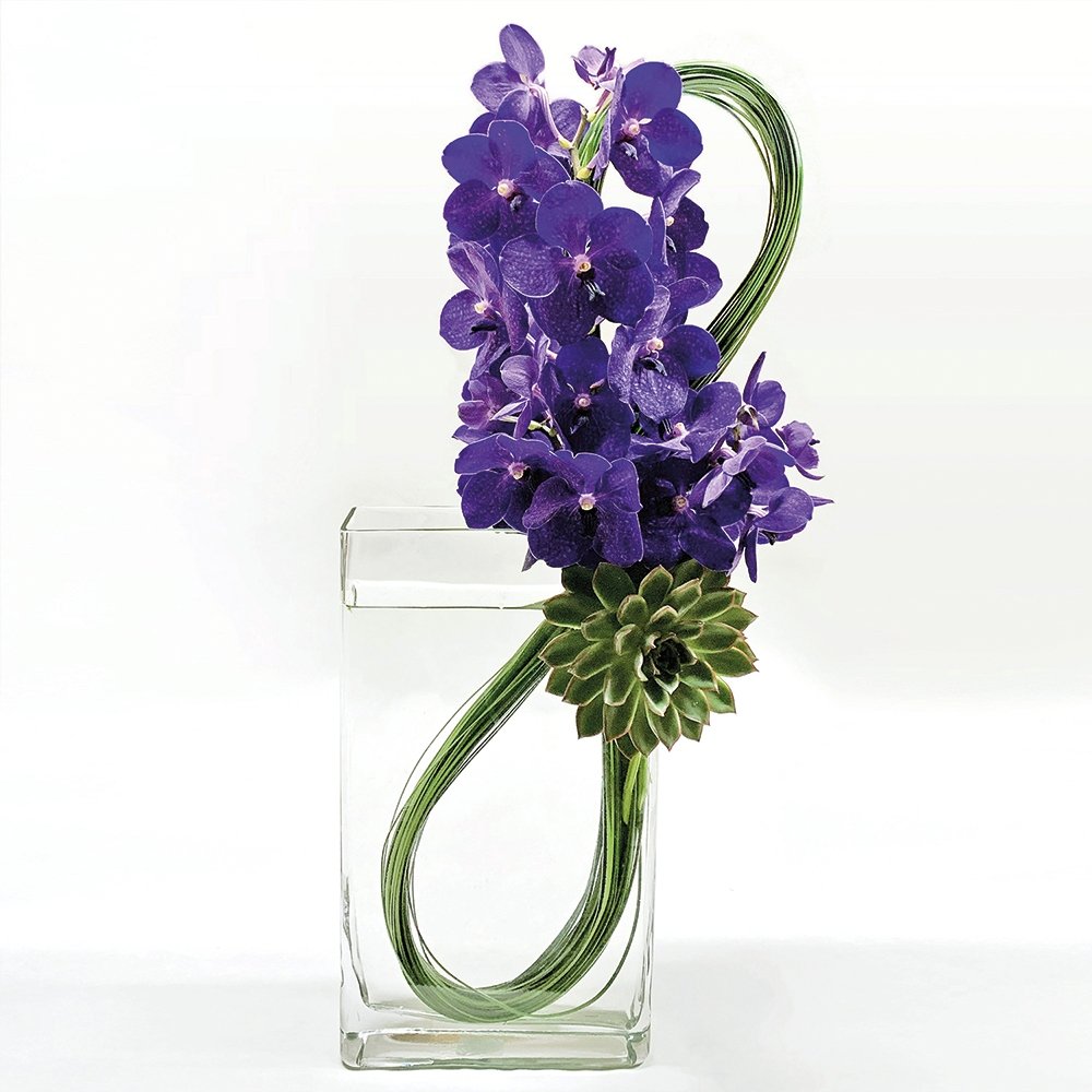 Vanda Infinity Loop / purple - Heather Floral - Delivery Same Day