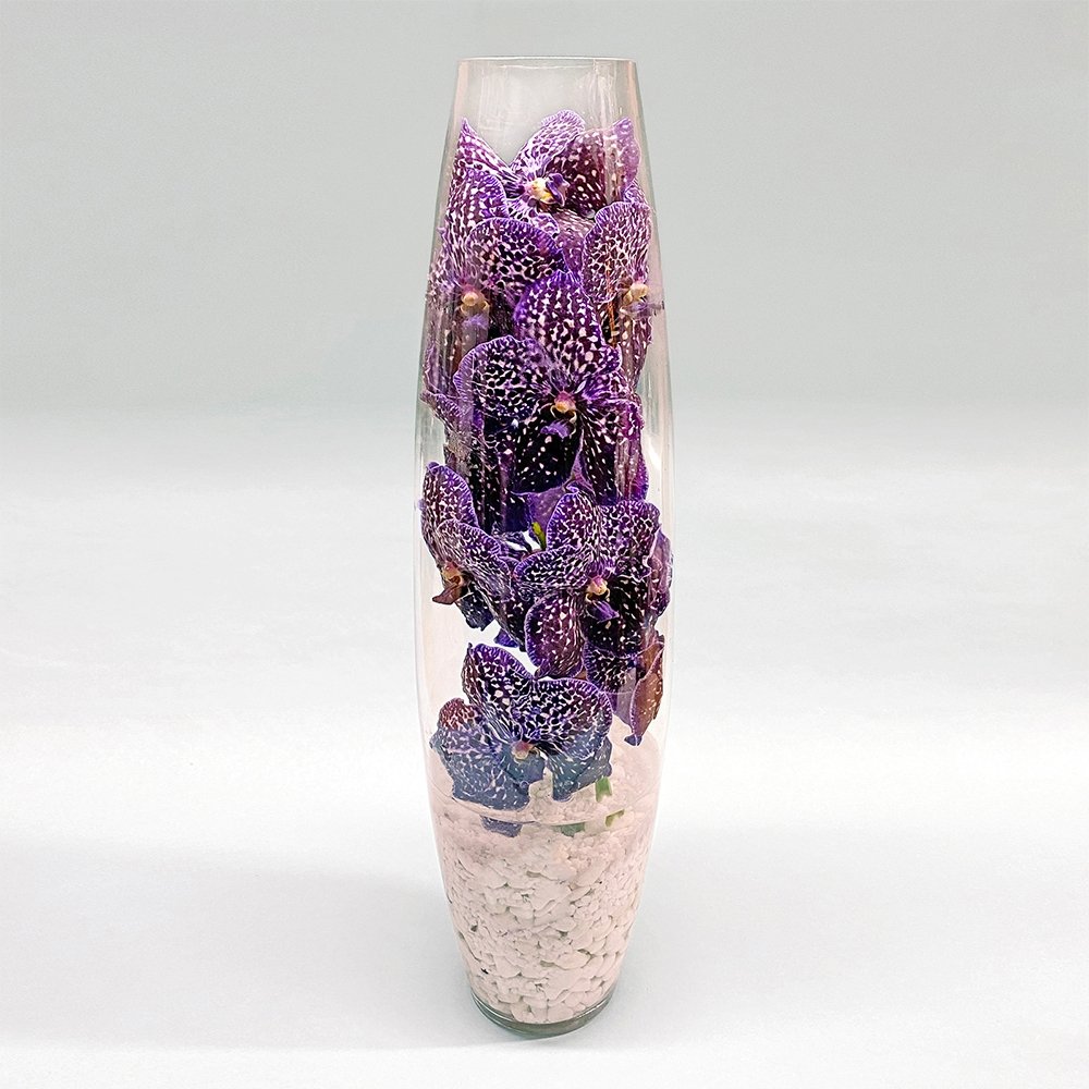 Vanda Spirit - Heather Floral - Delivery Same Day