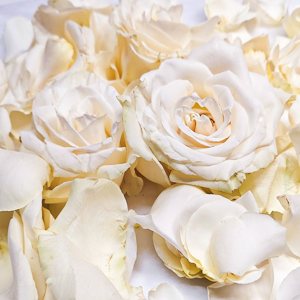 White Roses Petals - Heather Floral - Delivery Same Day